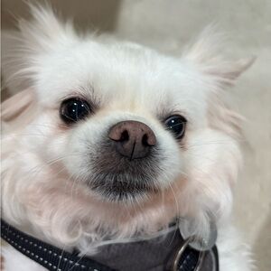 Meet your Posher, Ethan